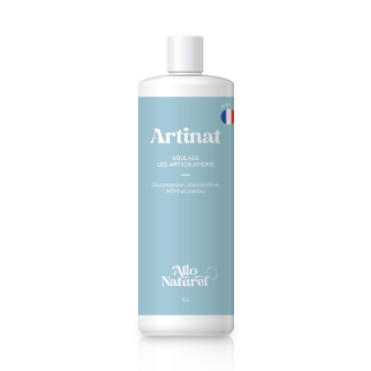 Artinat