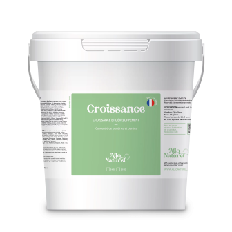 Croissance