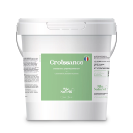 Croissance