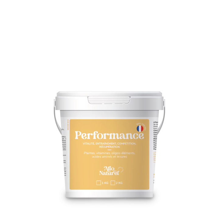 Performance