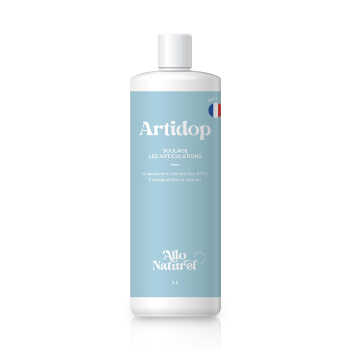 Artidop