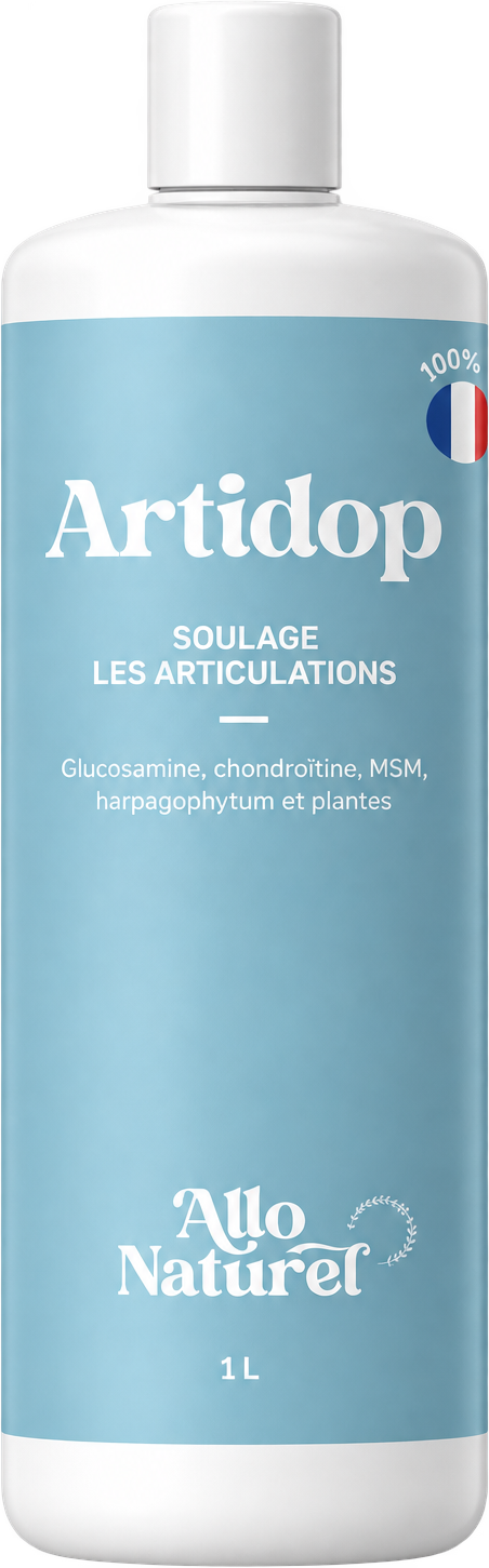 Articulations