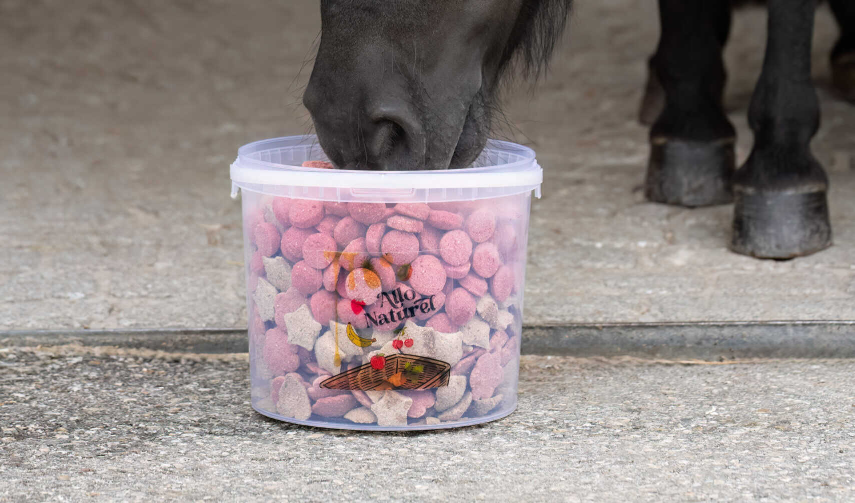 Bonbons et friandises pour chevaux