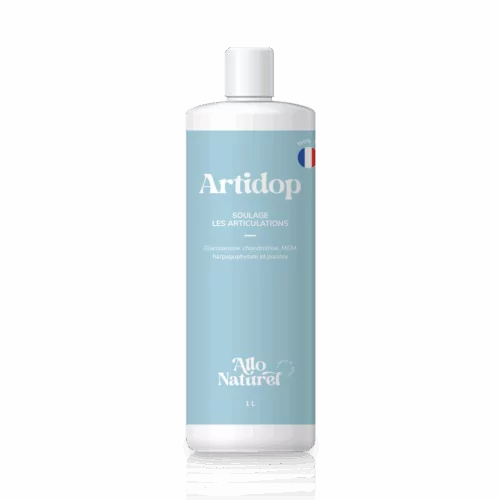 Allo Naturel Artidop Bouteille A Visser 1L 162