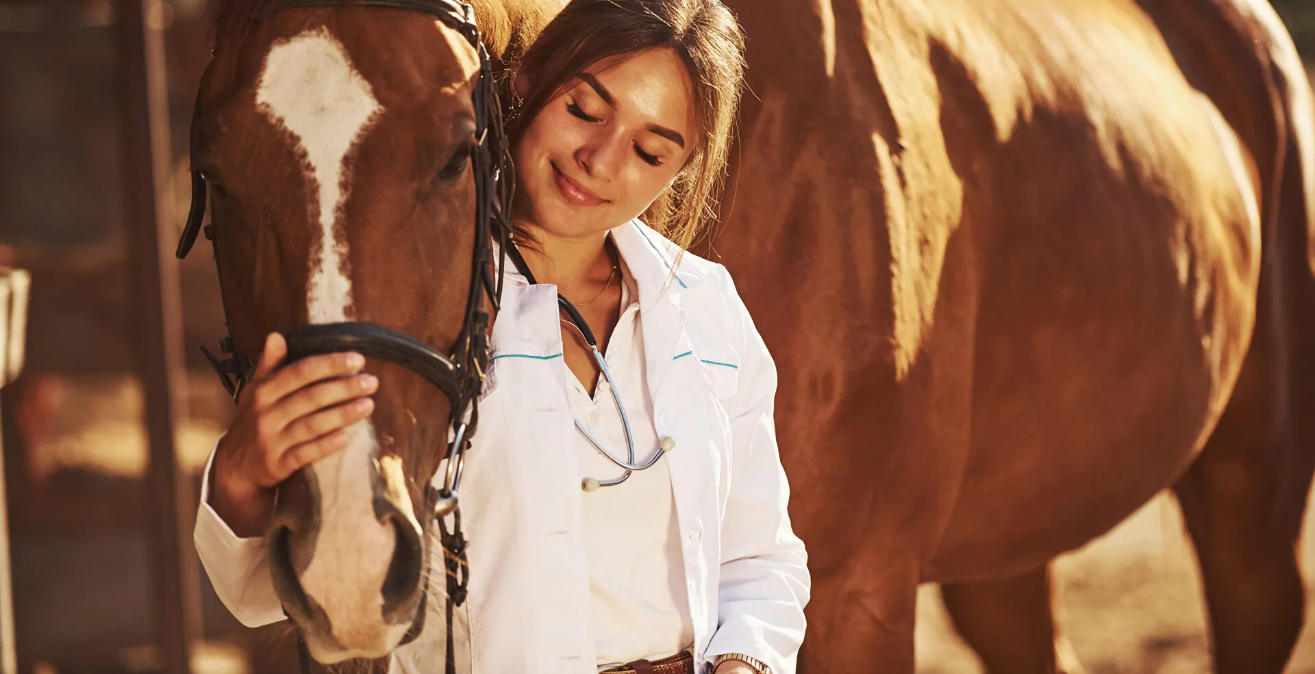 Anti-mouche cheval, anti-insecte cheval