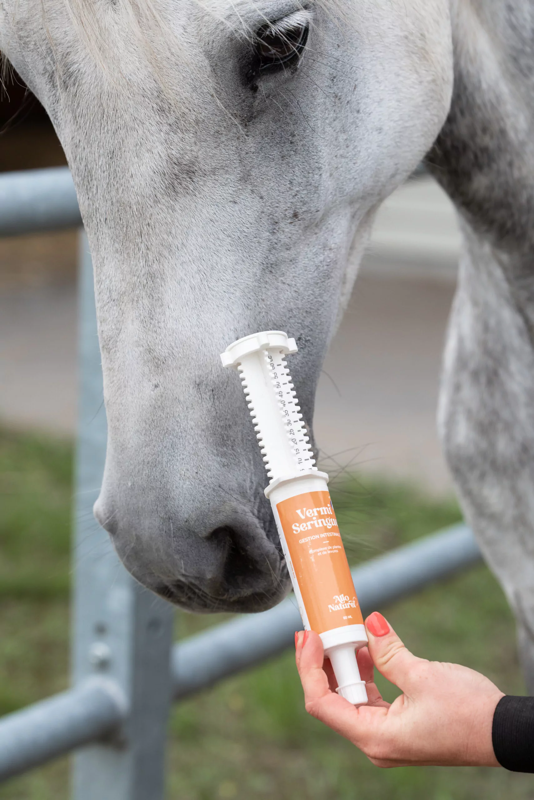Allo Naturel Shooting Laurentides DSC 2336 Edit 288 Allo Naturel Shooting Laurentides DSC 2336 Edit 288