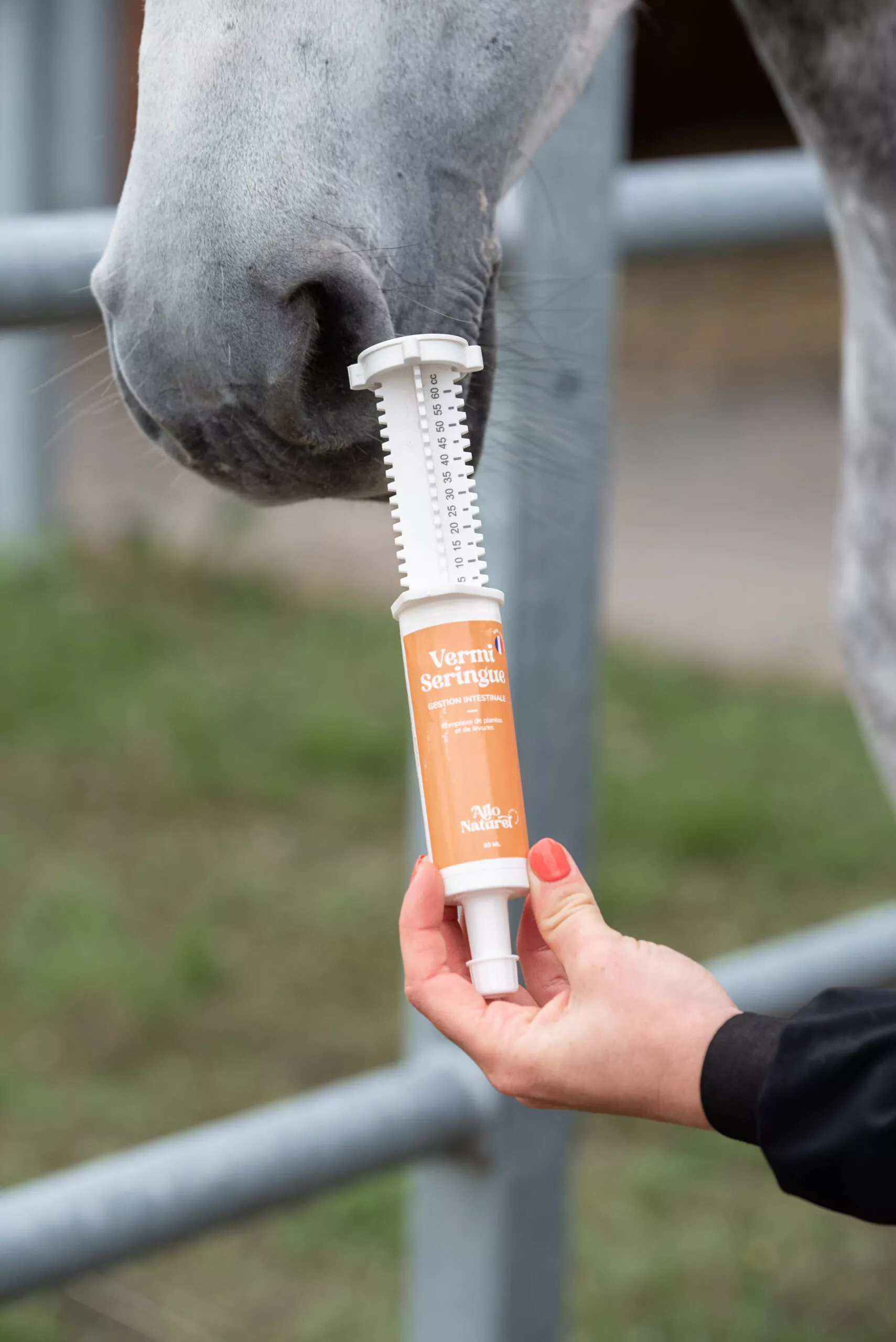 Allo Naturel Shooting Laurentides DSC 2338 Edit 287 Allo Naturel Shooting Laurentides DSC 2338 Edit 287