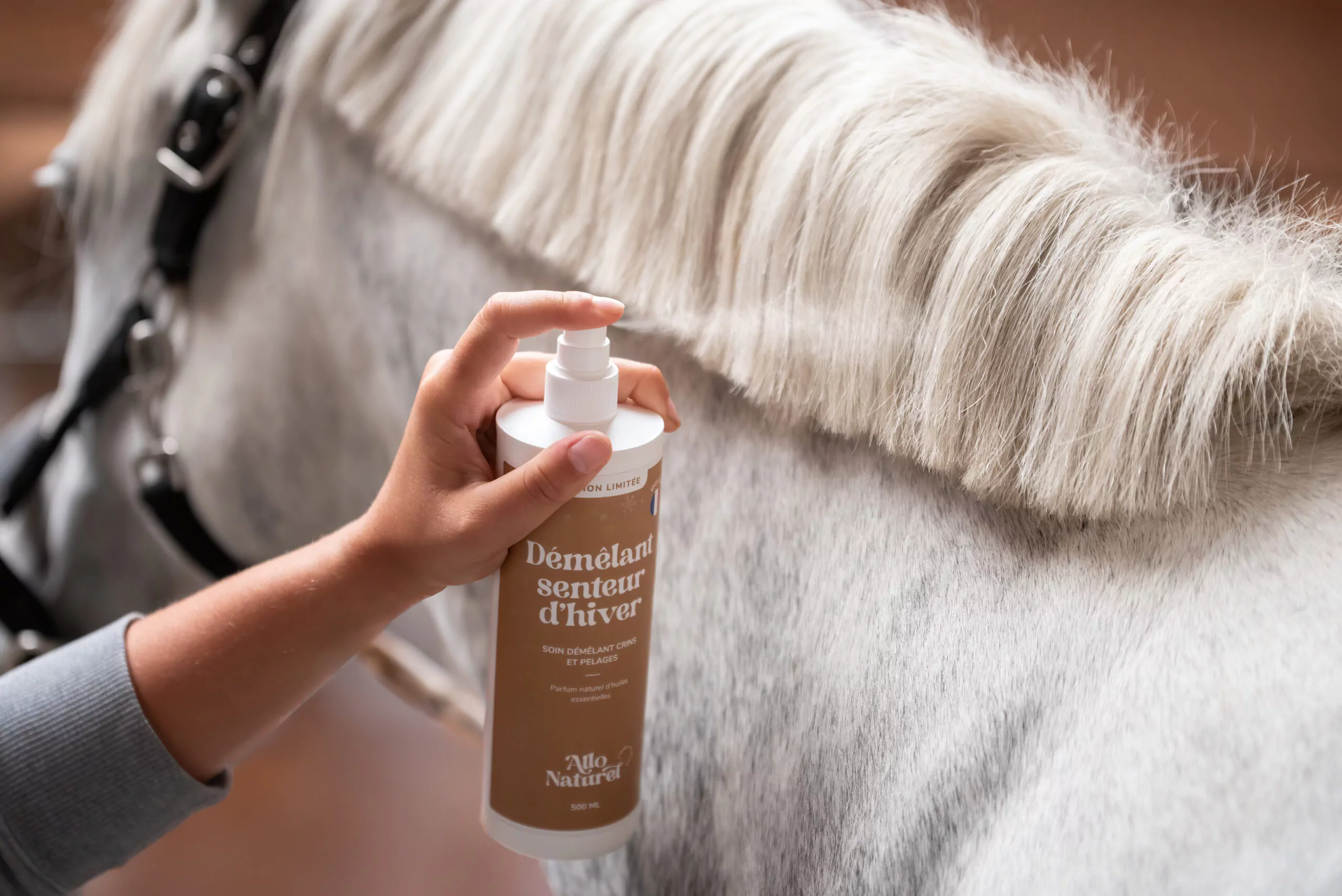 Allo Naturel Shooting Laurentides DSC 1909 Edit 290 Allo Naturel Shooting Laurentides DSC 1909 Edit 290