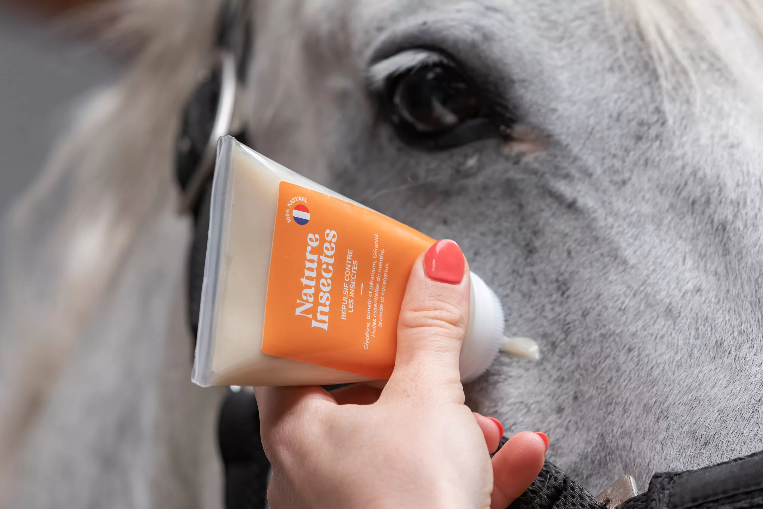 Allo Naturel Shooting Laurentides DSC 1917 Edit Edit 283 Allo Naturel Shooting Laurentides DSC 1917 Edit Edit 283