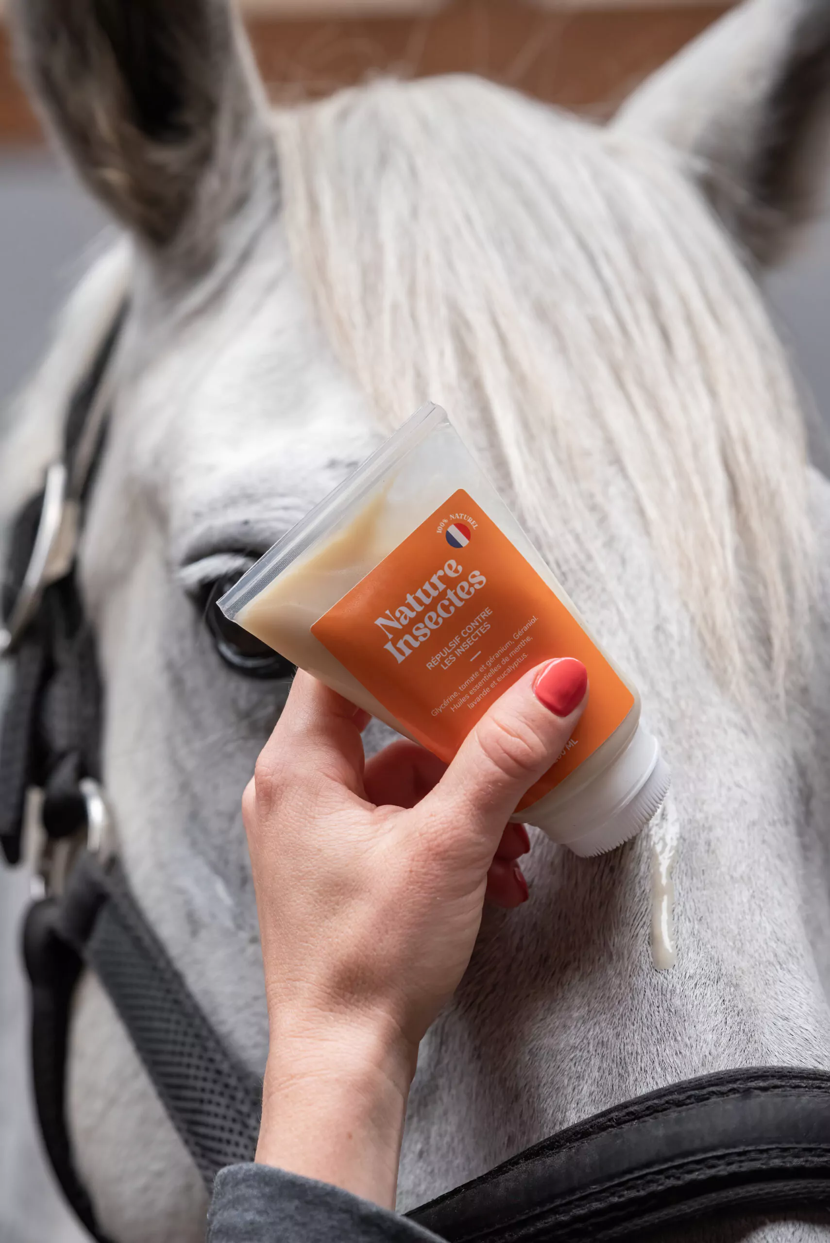 Allo Naturel Shooting Laurentides DSC 1924 Edit 284 Allo Naturel Shooting Laurentides DSC 1924 Edit 284